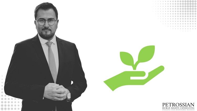ESG and Sustainability for Business: Fundamentals